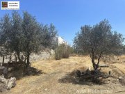 Pitsidia (Komos) Kreta Pitsidia Baugrundstück in dem beliebten Dorf Pitsidia zu verkaufen Grundstück kaufen